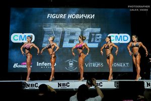 FIGURE НОВИЧКИ